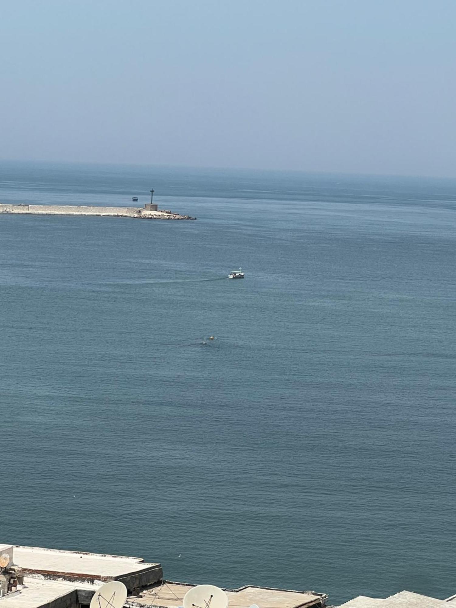 Downtown Sea View Suites İskenderiye Dış mekan fotoğraf